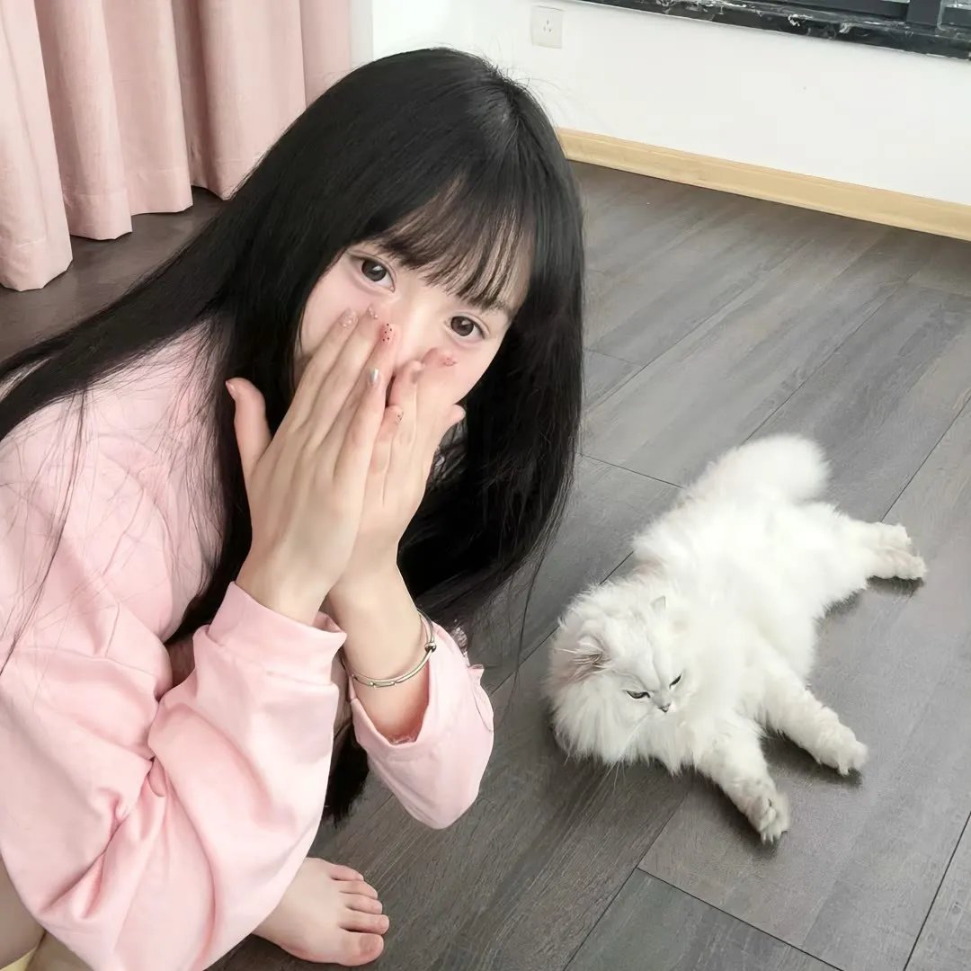 2019天猫双十一狂欢夜